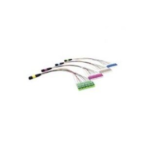 Neutral-AMPOM-0.35M-12LC-G.652D-12C-0.9mm-FO0.35-L